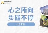 心之所向 步履不停 | 江苏苏浙皖边界市场集团十月剪影